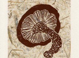 Mushroom Brown on Tan