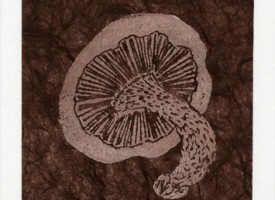 Mushroom Tan on Brown